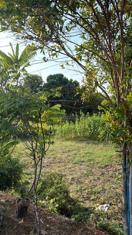 Plot For Sale in Chembukkavu