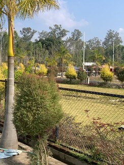 Plot For Sale in Biharigarh