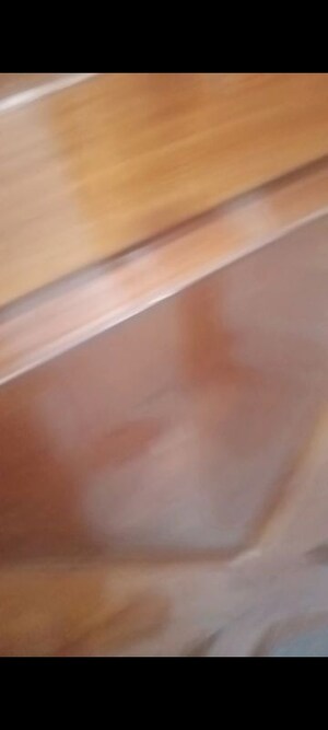 Room in 3 BHK Apartment at Sai Kunj New Palam  vihar, New Palam Vihar Phase 3 – for Rent