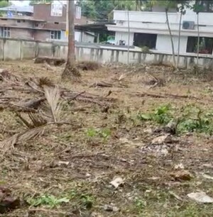 Plot Area in  Plot at Kalathode – for Sale