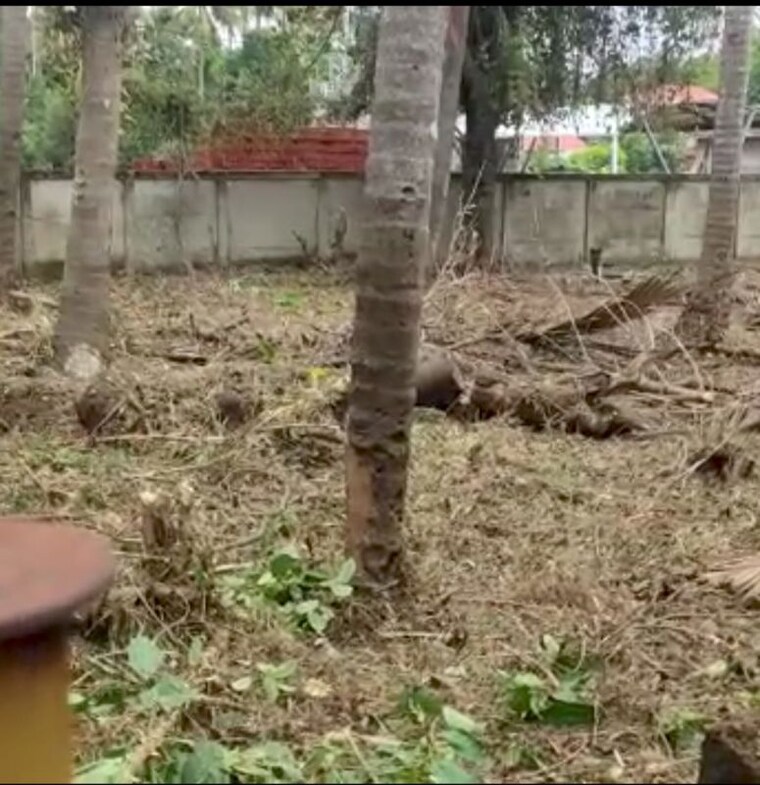 undefined, kalathode  4356 Sq.Ft. Plot In Kalathode Thrissur 10236522
