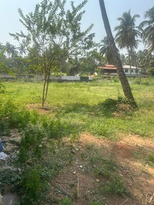 Plot Area in  Plot at Ayyanthole – for Sale