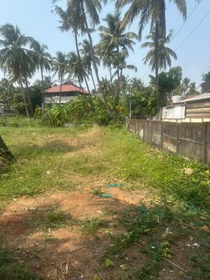 Plot Area in  Plot at Ayyanthole – for Sale