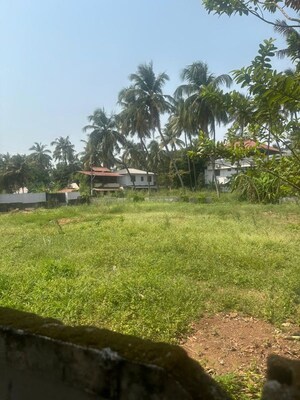  Plot – Exterior View View at Ayyanthole - for Sale