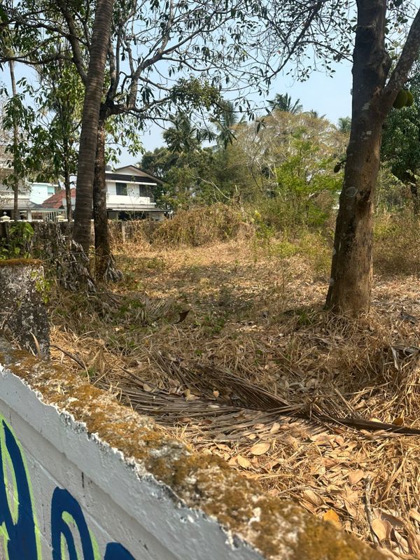 Plot For Sale in Ramavarmapuram