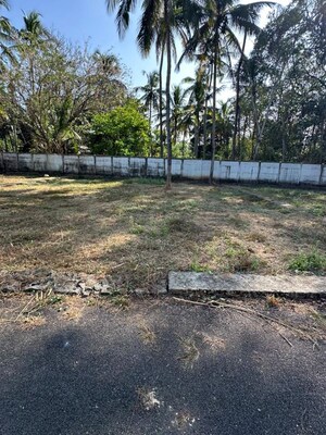 Plot Area in  Plot at Kuttoor – for Sale