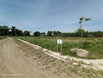 100 Sq.Yd. Plot in Altus The Junction