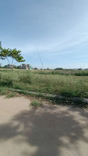 Plot Area in  Plot at Altus The Junction, Saini Majra – for Sale