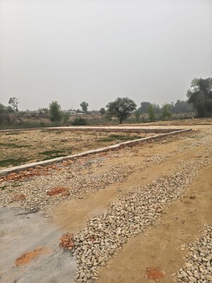 Plot Area in  Plot at Kamta – for Sale