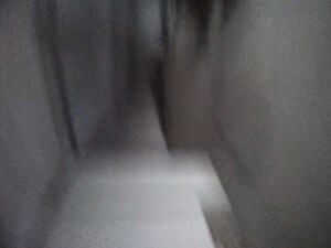 Room in  Warehouse at Sector 57 – for Sale