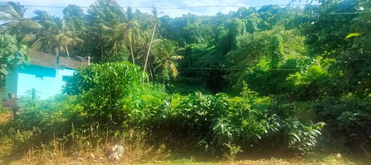 Garden, amala nagar  7404 Sq.Ft. Plot In Amala Nagar Thrissur 10237086