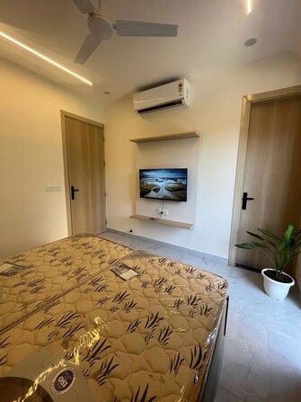 1 Rk  460 Sq.Ft. Builder Floor in Vipul Square