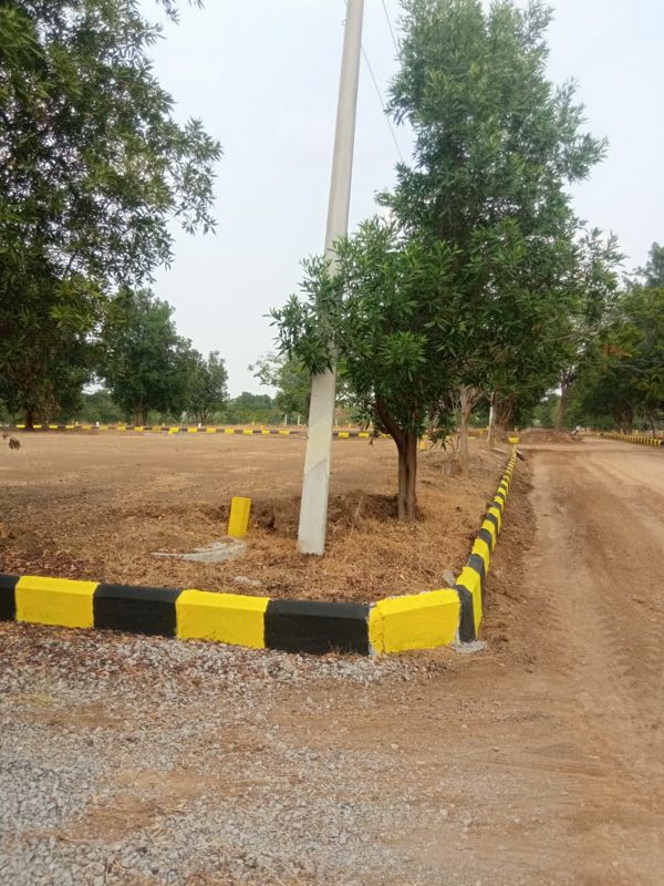 Plot For Sale in Nature Yadadri Ambience