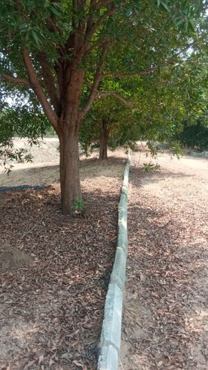 Plot Area in  Plot at Nature Yadadri Ambience, Kolanpaka – for Sale