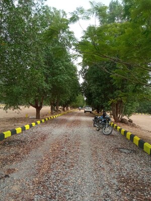  Plot For Sale in Nature Yadadri Ambience, Kolanpaka