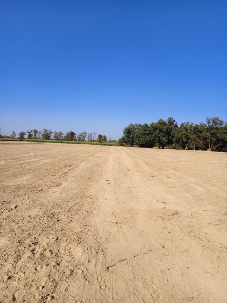 undefined, jankipuram extension  1000 Sq.Ft. Plot In Jankipuram Extension Lucknow 10237447