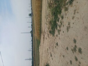  Plot – Exterior View View at Sector 68 - for Sale