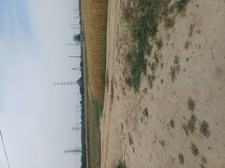 Exterior View, sector 68  150 Sq.Yd. Plot In Sector 68 Faridabad 10237820