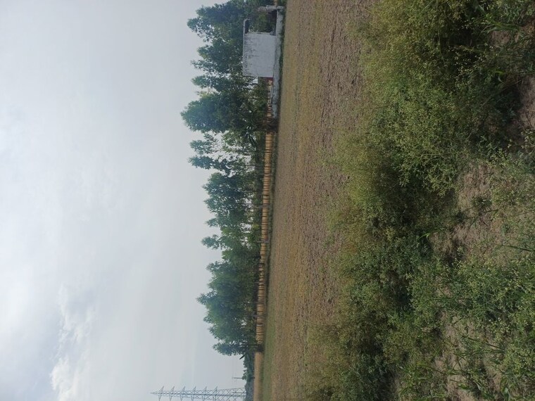 Garden, sector 68  150 Sq.Yd. Plot In Sector 68 Faridabad 10237820