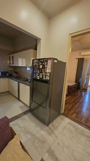 Kitchen in 3 BHK Builder Floor at Sector 9a – for Rent