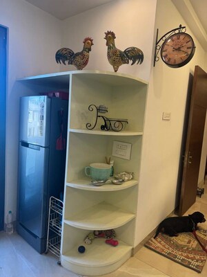 Furnished Amenities in 4 BHK Builder Floor at Sector 10 – for Rent