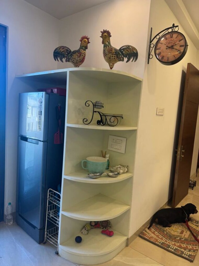 undefined, sector 10 4 Bedroom 3000 Sq.Ft. Builder Floor In Sector 10 Chandigarh 10237898