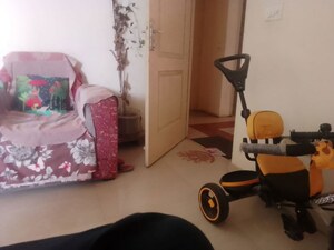 Living Room in 1 BHK Apartment at Pyramid Urban Homes, Sector 70a – for Rent