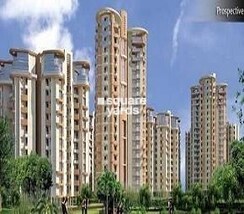 3.5 BHK + Servant Room Apartment For Rent in SDS NRI Residency Omega II