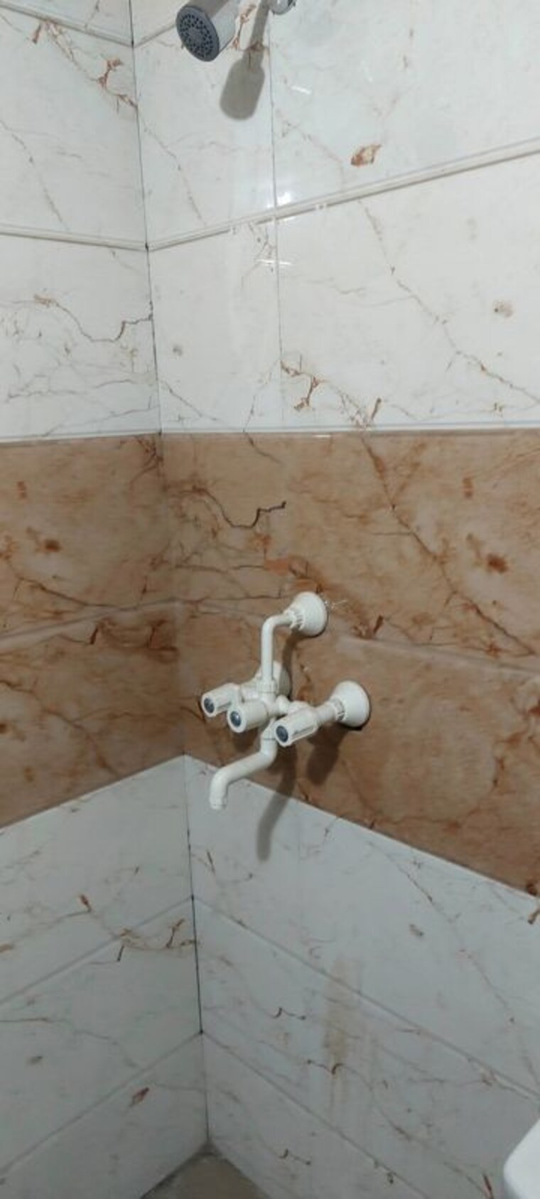 Bathroom, amrapali-riverview 2 Bedroom 845 Sq.Ft. Apartment In Amrapali Leisure Valley Greater Noida 10238094