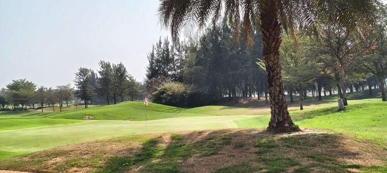 Garden, manneguda Commercial Land 3 Acre In Manneguda Hyderabad 10173945