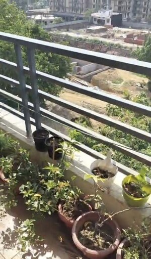 Balcony in 2 BHK Apartment at Amolik Heights, Sector 88 – for Sale