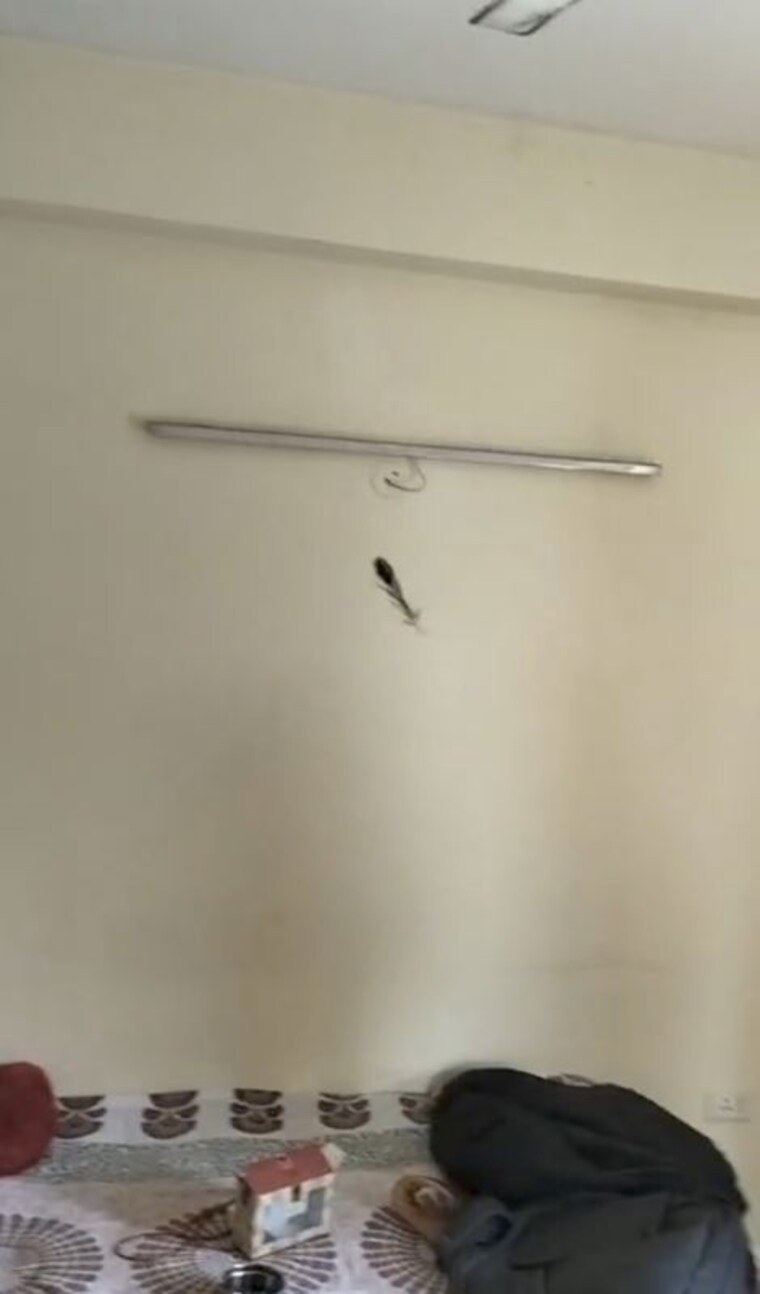 Room, amolik-heights 2 Bedroom 593 Sq.Ft. Apartment In Sector 88 Faridabad 10238368