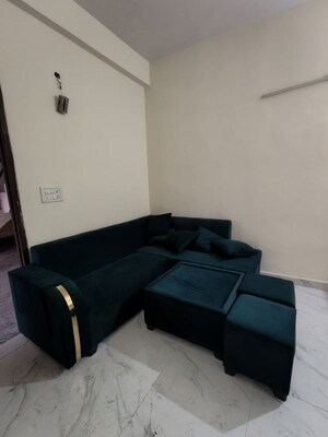 Living Room in 1 BHK Apartment at Saket – for Rent