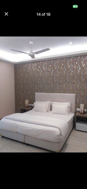 1 BHK Apartment For Rent in East Of Kailash