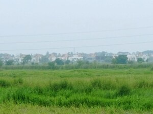 Plot Area in  Plot at Pipli – for Sale