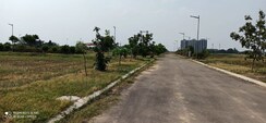 Plot For Sale in New Chandigarh