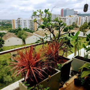 Balcony in 4 BHK Apartment at The Five Summit Address, Whitefield – for Rent