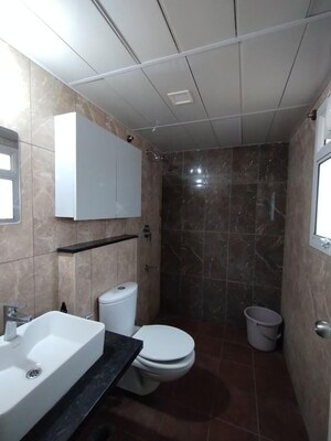Bathroom in 2 BHK Apartment at TVS Emerald Jardin, Singasandra – for Rent