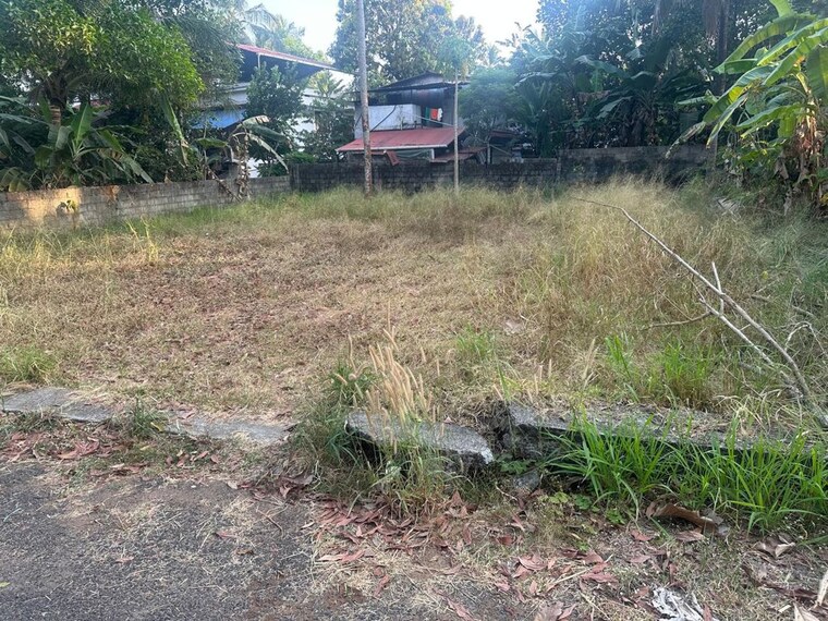undefined, mundoor  4139 Sq.Ft. Plot In Mundoor Thrissur 10239218