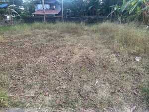 Plot Area in  Plot at Mundoor – for Sale