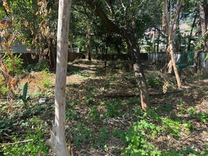  Plot For Sale in Kuriachira