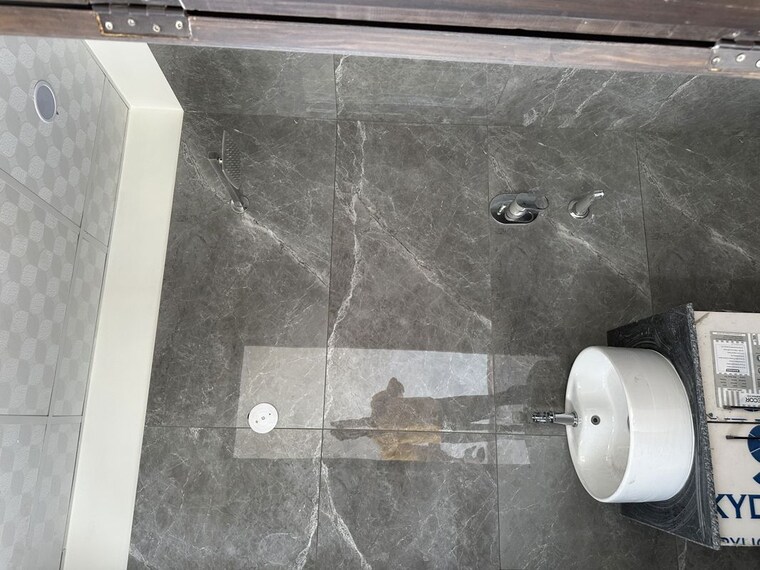 Bathroom, sector 30 2 Bedroom 1800 Sq.Ft. Builder Floor In Sector 30 Faridabad 10239438