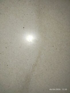 2.5 BHK + Pooja Room Apartment For Rent in Niharika Lakefront