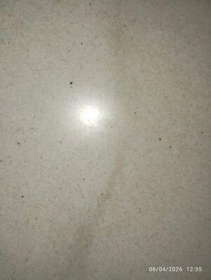 2.5 BHK Apartment For Rent in Niharika Lakefront, Manikonda