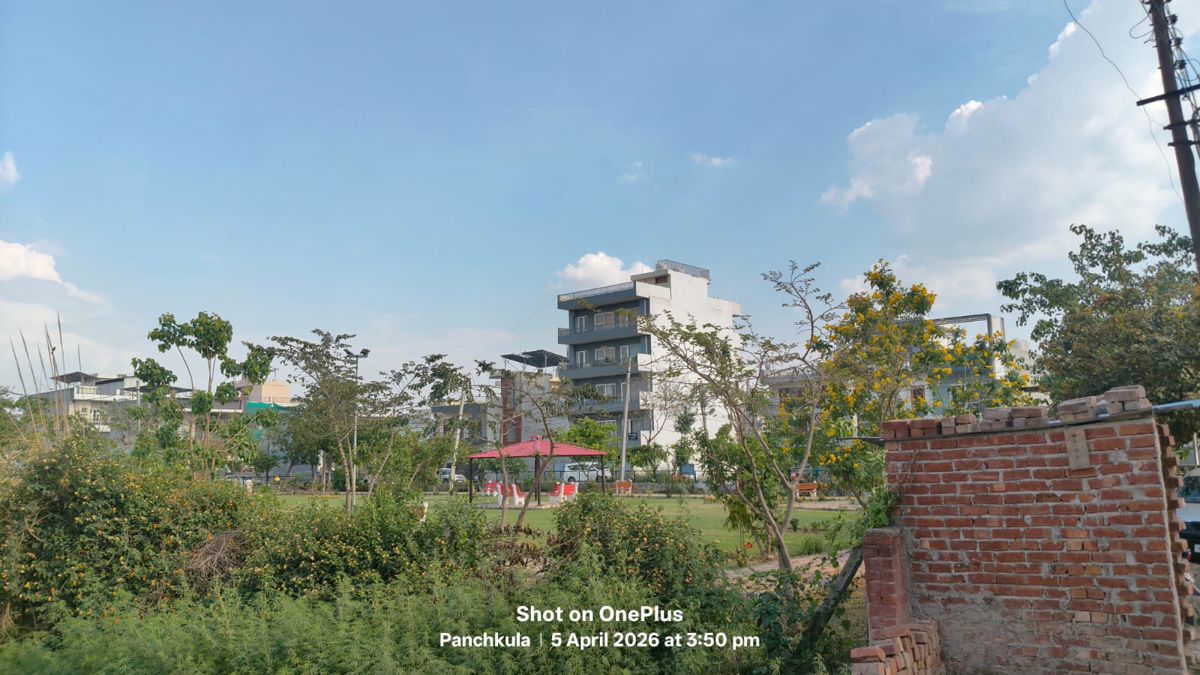 Plot For Sale in Sector 28