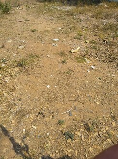 Plot For Sale in Shravan Township