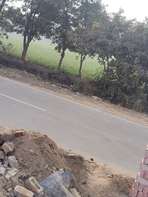 Plot Area in  Plot at Amolik Aster Woods, Sector 98 – for Sale