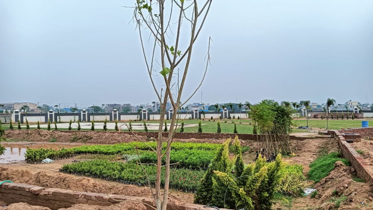 Plot For Sale in Sector 12 Panchkula