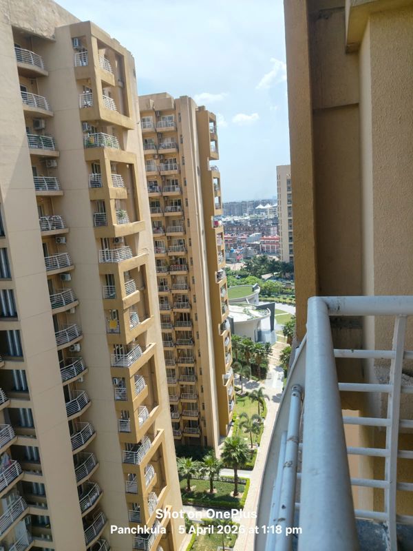 3.5 BHK + Extra Room Builder Floor For Sale in Sector 20