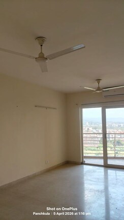 3.5 BHK + Pooja Room Builder Floor For Sale in Sector 20